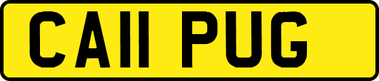 CA11PUG