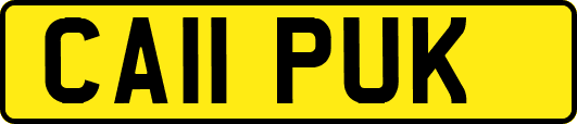 CA11PUK