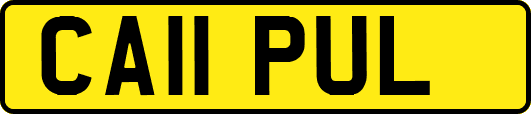 CA11PUL