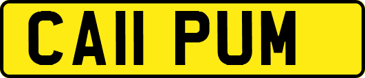 CA11PUM