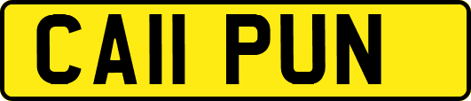 CA11PUN