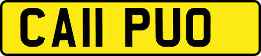 CA11PUO
