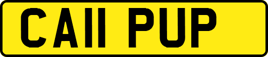 CA11PUP
