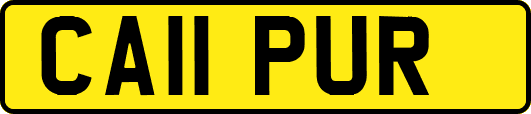 CA11PUR