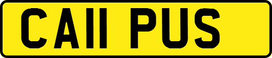 CA11PUS