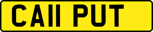 CA11PUT