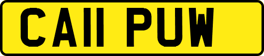 CA11PUW