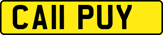 CA11PUY