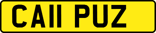 CA11PUZ