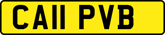 CA11PVB