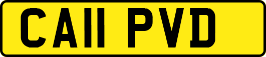 CA11PVD