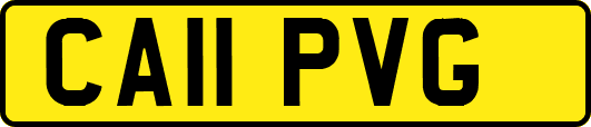 CA11PVG