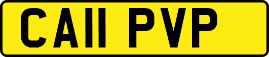 CA11PVP