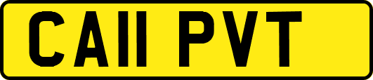 CA11PVT