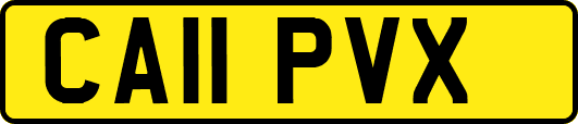 CA11PVX