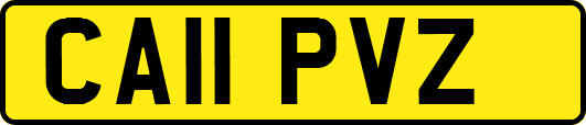 CA11PVZ