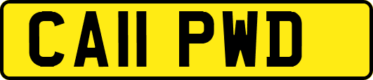 CA11PWD