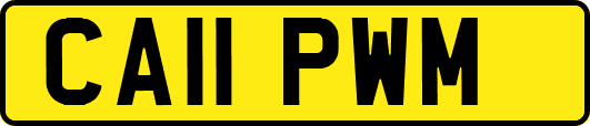 CA11PWM