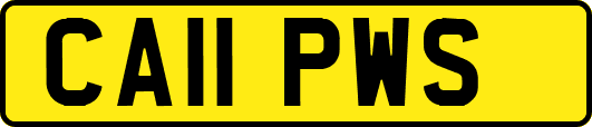 CA11PWS