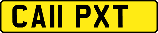 CA11PXT