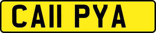 CA11PYA
