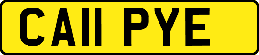 CA11PYE