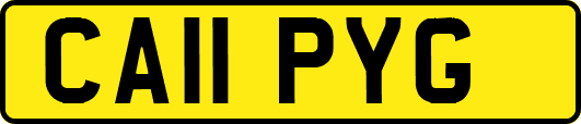 CA11PYG