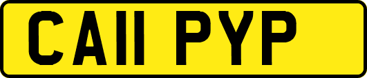 CA11PYP