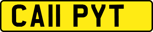 CA11PYT