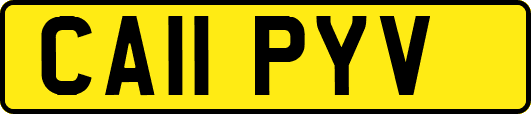 CA11PYV