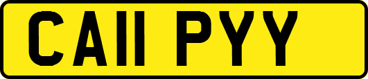 CA11PYY