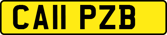 CA11PZB