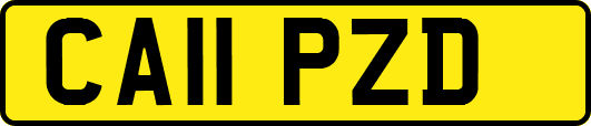 CA11PZD