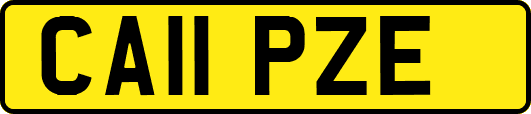CA11PZE