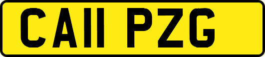 CA11PZG