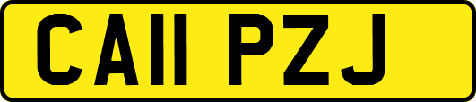 CA11PZJ