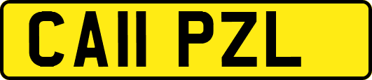 CA11PZL