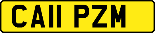 CA11PZM