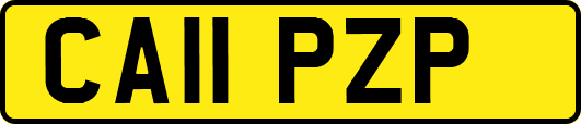 CA11PZP