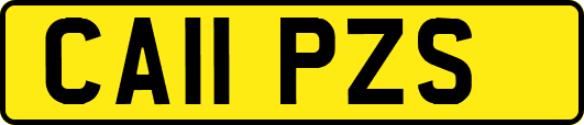 CA11PZS