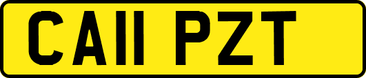 CA11PZT