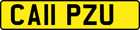CA11PZU