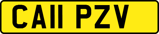 CA11PZV