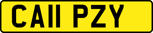 CA11PZY