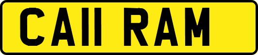 CA11RAM