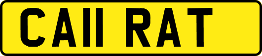 CA11RAT