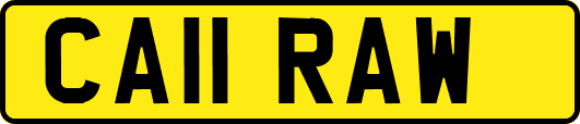 CA11RAW