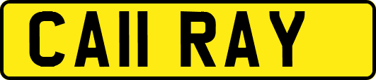 CA11RAY