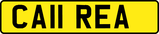 CA11REA