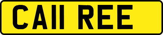 CA11REE